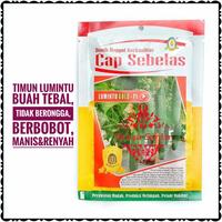 Gambar Benih Timun Lumintu Gold Cap Sebelas Anti Virus manis renyah - Lumintu Gold dari griya.sinta undefined 5 Tokopedia
