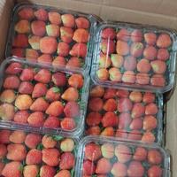 Gambar stroberi fresh harga untuk berat 160gr stroberi Ciwidey dari Pondok Buah Charisa undefined 2 Tokopedia