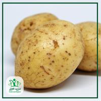 Gambar Kentang - Sayur Kendal Fresh & Organic - 500gr dari Sayur Kendal Menteng undefined 3 Tokopedia