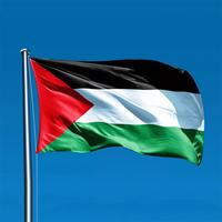 Gambar Bendera Palestina Palestine Flag Besar 90x150 cm Polyster - Israel dari Nesstore69 undefined 1 Tokopedia
