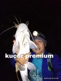 Gambar kucur baung murah dari Almassworkshop undefined 4 Tokopedia