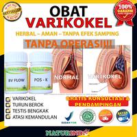 Gambar Obat Varikokel Herbal Atasi Verikokel Testis Bengkak Buah Zakar Ampuh - Obat Utama dari PT. AIRLANGGA JAYA STORE undefined 1 Tokopedia