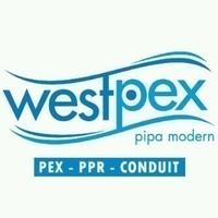 Gambar PIPA PPR 2 INCH WESTPEX / PIPA WESTPEX 63 MM PN20 / PIPA PN 20 dari Valve Besi PVC undefined 4 Tokopedia