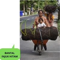Gambar Enau Penjernih Sumur Tali Ijuk Halus filter Air Tanah Bau Got dari aren mania undefined 1 Tokopedia
