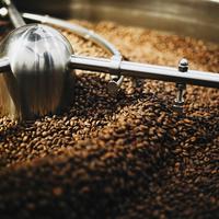 Gambar JAVA WINE (250gr) - Single Origin - Mardika Coffee dari Mardika Coffee Roastery Etc undefined 2 Tokopedia