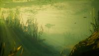 Gambar MANEATER + ALL DLC - STEAM ORIGINAL PC GAME - DL dari WEPRO SHOP undefined 2 Tokopedia
