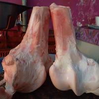 Gambar Tulang Sumsum Sapi / Skengkel Untuk Kaldu Kuah Gurih dari Mayabeef undefined 2 Tokopedia