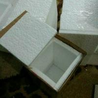 Gambar Tambahan Box packing claim garansi dari Omah pojok Aquatic Store undefined 1 Tokopedia