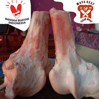 Gambar Tulang Sumsum Sapi / Skengkel Untuk Kaldu Kuah Gurih dari Mayabeef undefined 1 Tokopedia