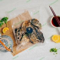 Gambar Premium Japanese Murotsu / Sakoshi Oyster dari Shinji jkt undefined 4 Tokopedia