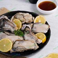 Gambar Premium Japanese Murotsu / Sakoshi Oyster dari Shinji jkt undefined 2 Tokopedia