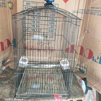 Gambar Kandang Sangkar Burung Besi Lipat No 2 untuk Jalak BEO KACER Murai dengan Tempat Minum Makan Tangkaran Gantungan Pion dan Tatakan Alas Bawah dari HERU.KENARI undefined 1 Tokopedia