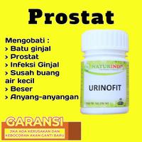 Gambar Obat Prostat dan Infeksi Saluran Kemih Herbal Naturindo dari Naturindo Herbal Pacitan undefined 2 Tokopedia