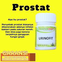Gambar Obat Prostat dan Infeksi Saluran Kemih Herbal Naturindo dari Naturindo Herbal Pacitan undefined 3 Tokopedia