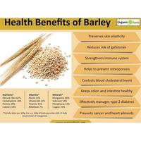 Gambar Kuartet Nabati / Barley / Biji Jali - Jali 500 Gram / Halal dari Grosir Makanan undefined 5 Tokopedia