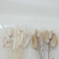 Gambar Dekayu Bunga Tebu Kering / Dried Flowers dari Jauharahshoop undefined 4 Tokopedia