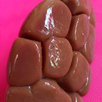 Gambar Ginjal Sapi Segar Lokal 1000 gr dari Mayabeef undefined 3 Tokopedia