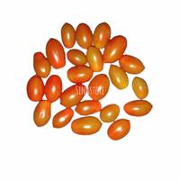 Gambar Tomat Cery 500gram dari sinastore5758 undefined 1 Tokopedia
