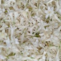 Gambar Bunga Sedap Malam Tabur Segar Pelengkap Tabur Makam dan Acara Keagamaan Bunga Putih Segar - 250 gram dari blanjadirumahcom undefined 1 Tokopedia