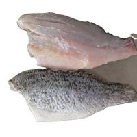 Gambar IKAN KAKAP PUTIH FILLET / IKAN BARAMUNDI FILLET PREMIUM FROZEN PER 1KG dari 22-SHOP undefined 2 Tokopedia