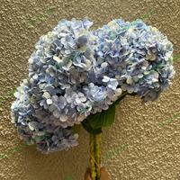 Gambar Hydrangea rotensia fresh flower bunga segar tangerang gading serpong b - Biru dari Bloom Flourish Supplier undefined 1 Tokopedia