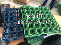 Gambar Tempat telur plastik - rak telur - egg tray isi 30 telur ( grade biasa dari icha YTH yokatta undefined 5 Tokopedia