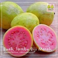 Gambar JAMBU BIJI MERAH HAPPYFRUITS 1KG dari Happyfruits99 undefined 3 Tokopedia