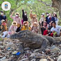 Gambar Paket Private Tour Komodo 3h2m Kapal Phini Standart - 8 Pax dari indozonetour undefined 2 Tokopedia