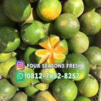 Gambar JERUK PACITAN BABY JAVA LOKAL MADU SUPER dari FOUR SEASONS FRESH undefined 5 Tokopedia
