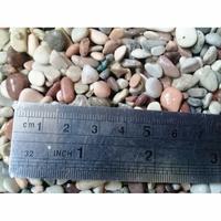 Gambar batu multi color batu pancawarna dari hart aquarium undefined 2 Tokopedia