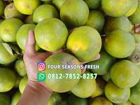 Gambar JERUK PACITAN BABY JAVA LOKAL MADU SUPER dari FOUR SEASONS FRESH undefined 2 Tokopedia