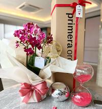 Gambar Double Mini Orchid - Beau Ready Stock/Pre-Order dari Primera Studio undefined 2 Tokopedia