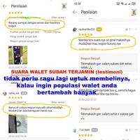 Gambar SUARA PANGGIL BURUNG WALET dan CEK LOKASI BURUNG WALET micro sd - suara TARIK dari gusponsel undefined 3 Tokopedia