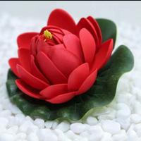 Gambar bunga teratai hias bunga lotus hiasan kolam ikan dan aquarium dari D''TOYS undefined 5 Tokopedia