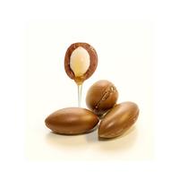 Gambar Argan Oil 100 ML - Minyak Argan Oil Pure Murni 100% Cosmetic Grade dari Toko Jaya Kimia undefined 2 Tokopedia