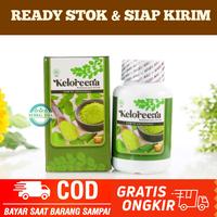 Gambar KELOREENA BPOM, Obat Suara Serak, Obat Herbal suara serak & hilang - 50 Kapsul dari Herbalthy Store undefined 3 Tokopedia