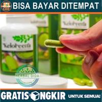 Gambar KELOREENA BPOM, Obat Suara Serak, Obat Herbal suara serak & hilang - 50 Kapsul dari Herbalthy Store undefined 5 Tokopedia