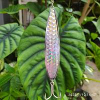 Gambar LURE CASTING UMPAN SPOON KILLER 55GR - sisik, set hook dari sofa fajaniar undefined 2 Tokopedia