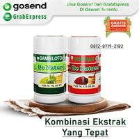 Gambar Merk Obat Tipes dan Asam Lambung Di Apotik K24 Alami Paling Ampuh dari Wijaya Denature undefined 1 Tokopedia