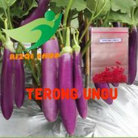 Gambar benih bibit terong ungu dari naseva shop undefined 1 Tokopedia