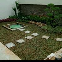 Gambar taman minimalis rumput gajh mini+ tanamannya dari Nazril florist undefined 1 Tokopedia