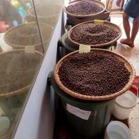 Gambar Kopi Arabika Toraja PuluPulu Biji dan Bubuk Arabica Toraja 250gr dari ^Toraja Koffie ^ undefined 5 Tokopedia