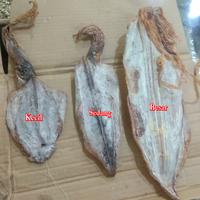 Gambar Sotong Kering / Cumi Kering / Juhi / Jiu He - Besar, ±250gram dari Kalbar shop Aneka Snack undefined 1 Tokopedia