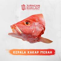 Gambar Kepala Ikan Kakap Merah Segar - 1 Kilogram JABODETABEK - SEDANG dari JURAGAN IKAN LAUT undefined 1 Tokopedia