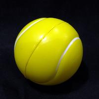 Gambar Mainan Bola Gabus Busa Hewan Anjing Kucing - Sponge Ball Dog Cat Toys dari Alkins Pet Shop undefined 5 Tokopedia