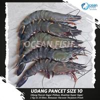 Gambar Udang Pancet Jumbo Size 10/Windu Besar Segar/Udang Tiger FRESH - 1 kilogram dari Ocean Fish undefined 2 Tokopedia