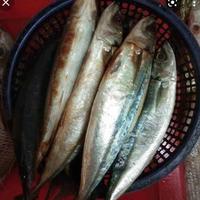 Gambar Ikan Kembung Layang 1 kg Segar Dan Fresh dari Pasar modern BSD undefined 2 Tokopedia