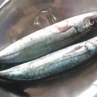 Gambar Ikan Kembung Layang 1 kg Segar Dan Fresh dari Pasar modern BSD undefined 4 Tokopedia