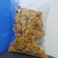 Gambar abon sapi merpati/abon sapi crispy cap merpati/oleh oleh asli semarang - original manis dari ABON ASLI NUSANTARA undefined 2 Tokopedia