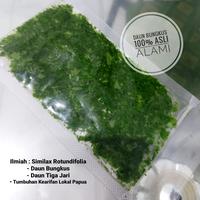 Gambar Daun Bungkus Tumbuk Asli (Papua Smilax Rotundifolia) Herbal dari Celebes Organik undefined 2 Tokopedia